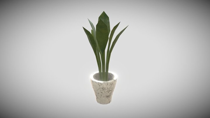 Marble potted plant with big leaves 3D Model