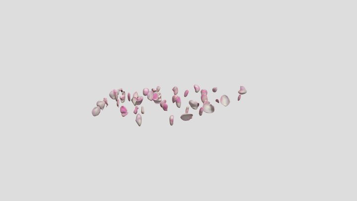 sakura Petal Drift 3D Model