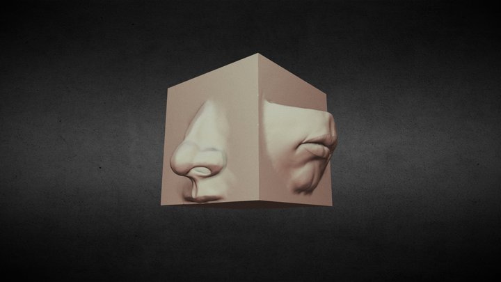 Mouth Nose 3D Model