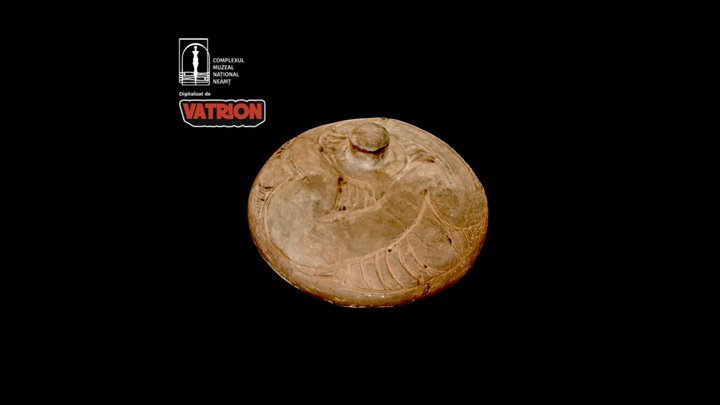Capac / Cover 3D Model