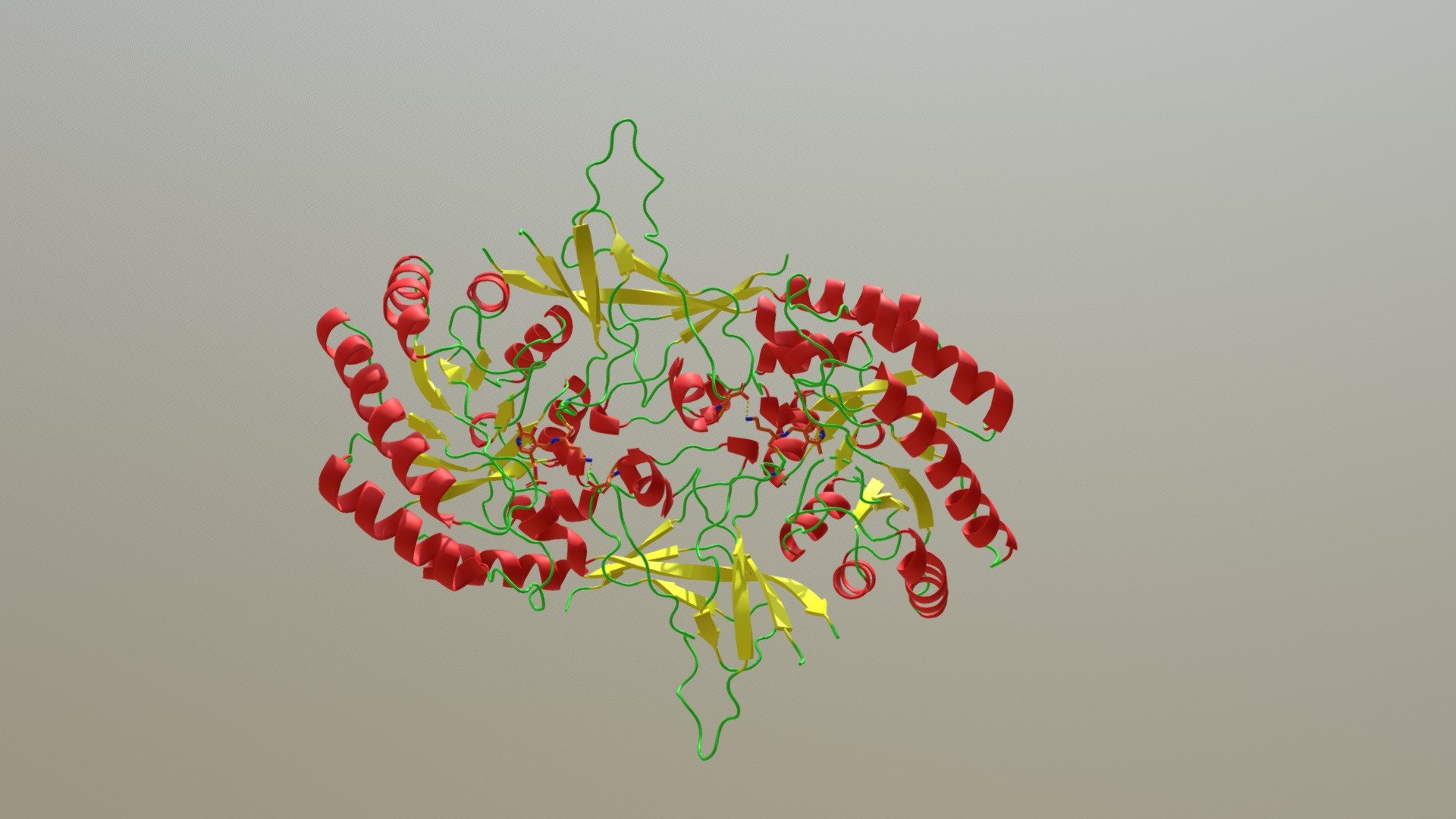Ornthine Decarboxylase Dimer