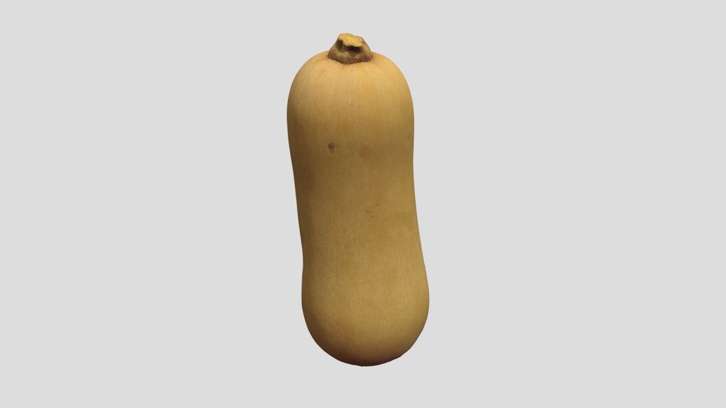 Butternut Squash