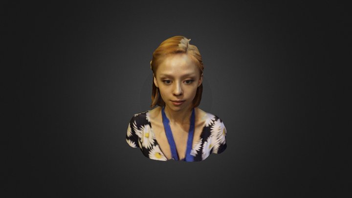 leakycon anna 3D Model