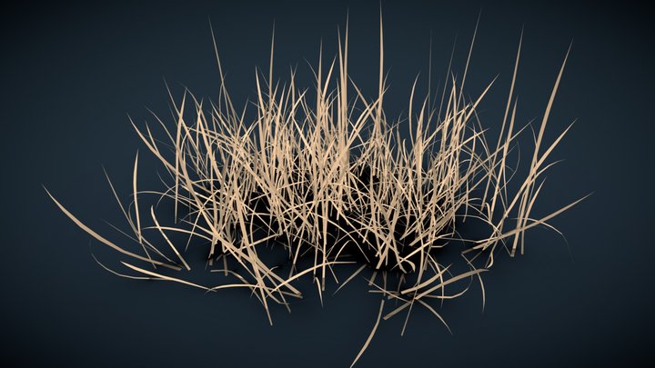 Dry realistic grass lods 1