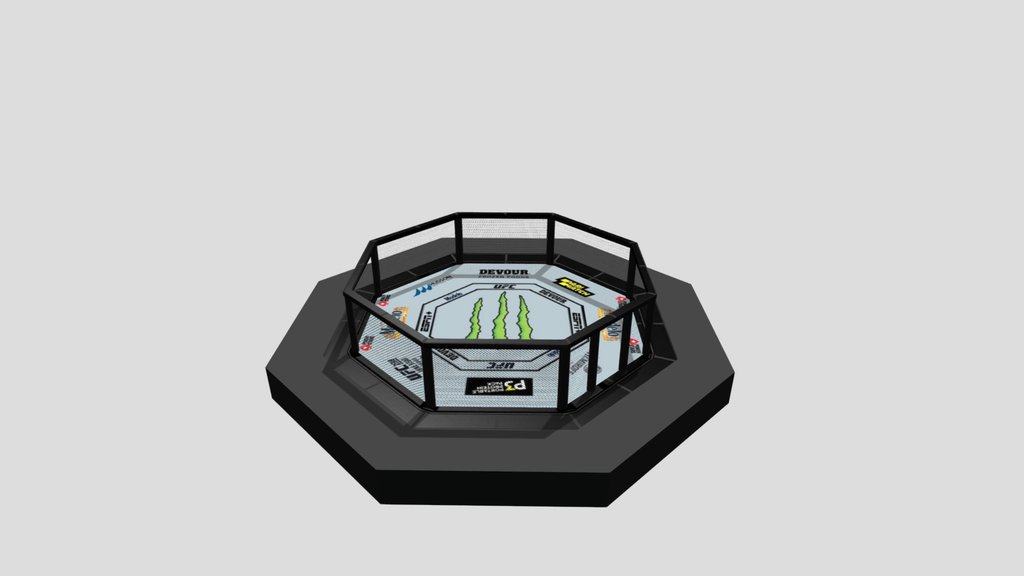 MMA Octagon