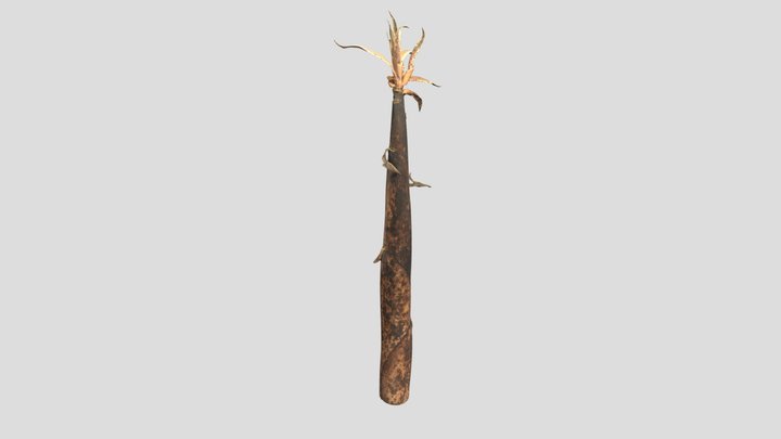 Bamboo_shoot 3D Model