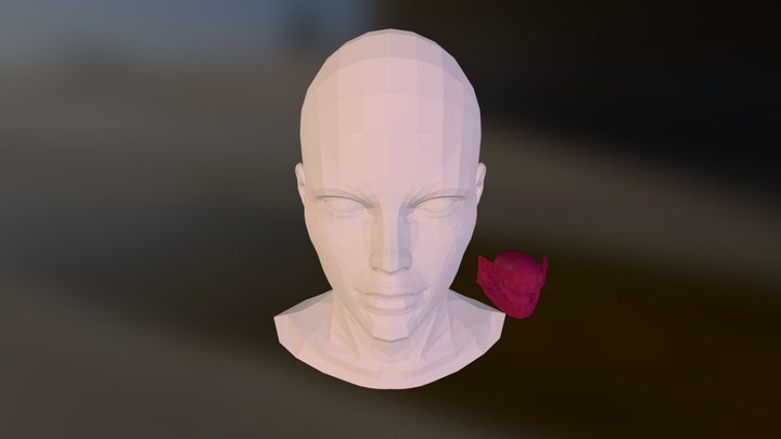 Female Head New 3ds 3D Model