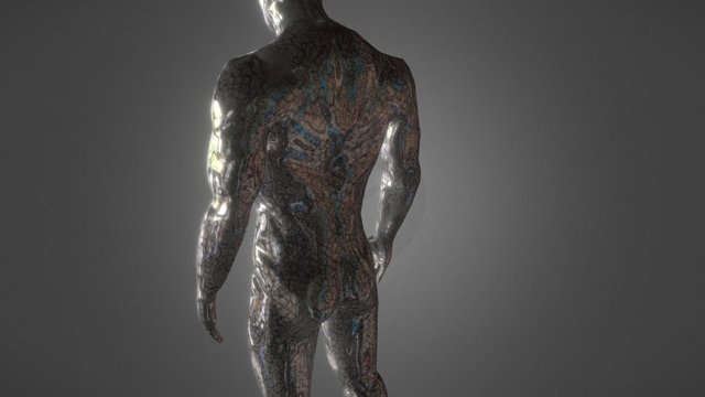 HumanMale 3D Model