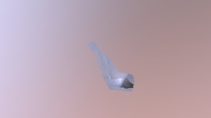 Liz Cleveland Art Museum 3D Model