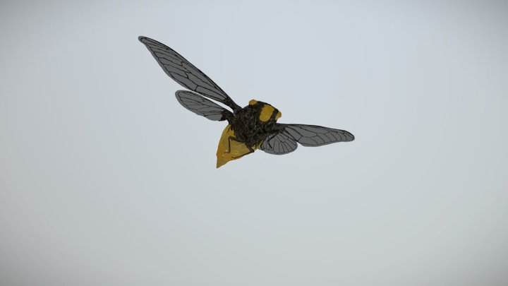 Black and golden cicada – Gratis 3D-model STL