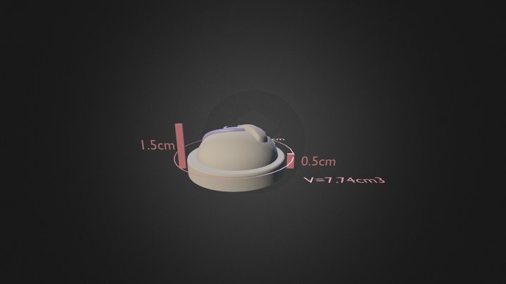 Lipa 31 Razmeri 3D Model