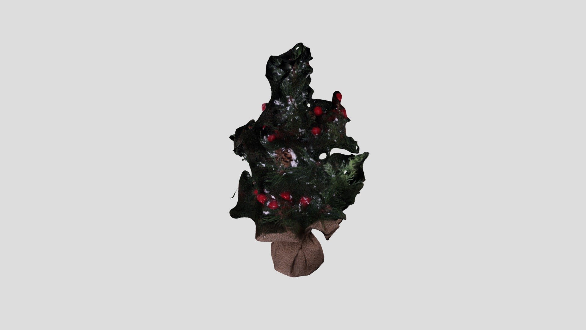 METASHAPE TREE PROCESSED