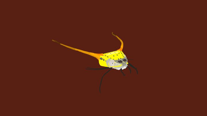 Spider 3D Model
