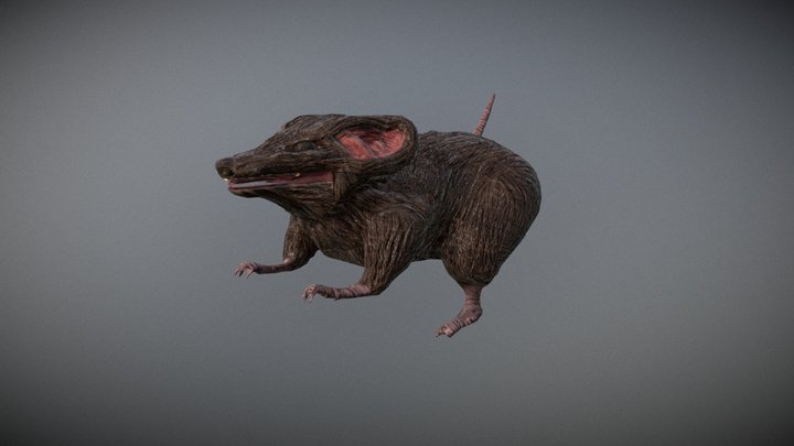 Ratus 3D Model