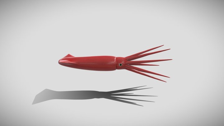 Giant Squid 3D Model