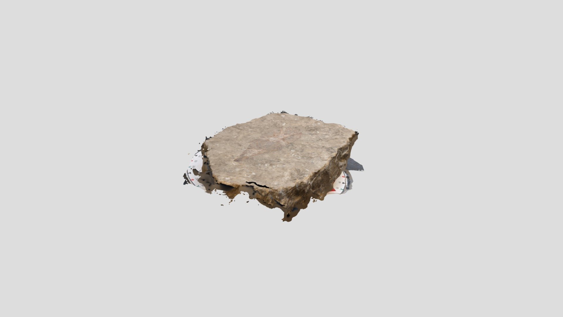 Onychodus Scale