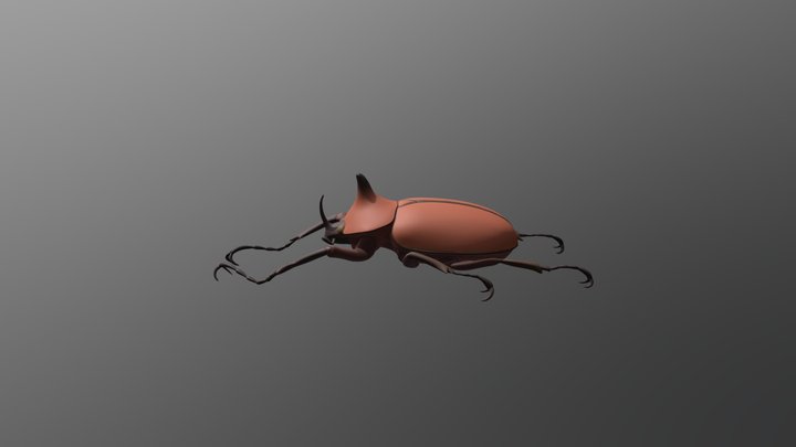 escarabeido 3D Model