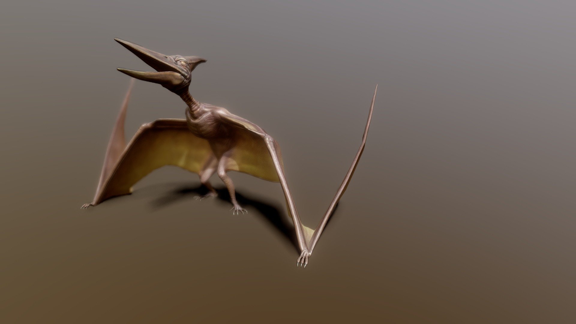 Pteranodon - 3D model by ArachnoBoy (@vang807) [a7d6a6d] - Sketchfab