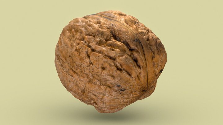 Walnut 3D Model