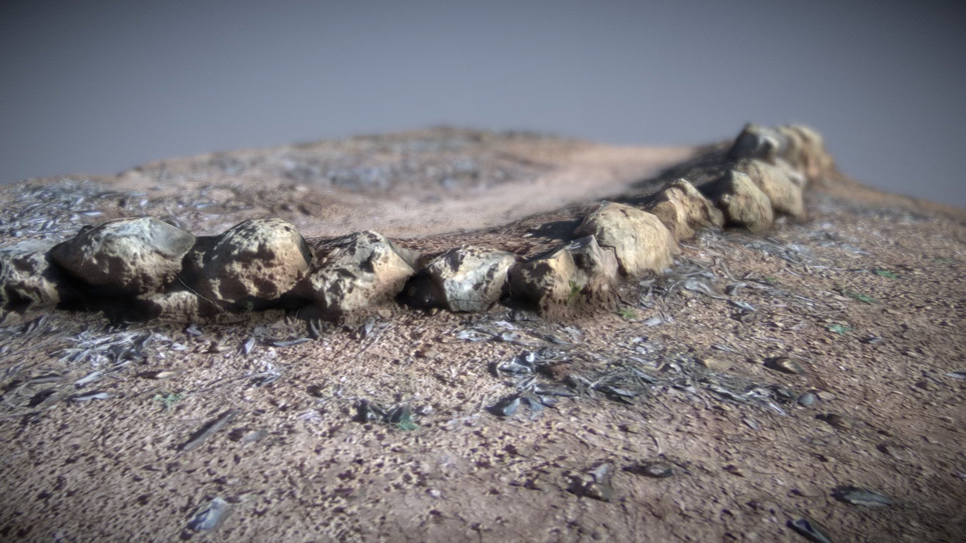Photogrammetry rocks in a field (low poly)