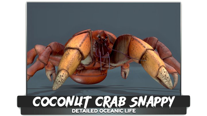Coconut Crab - Snappy Palm Thief - #47 3D Model