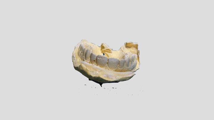 Scan 2023-01-14T17:14:52.429Z 3D Model