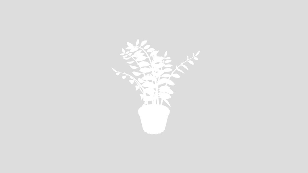 Stylized Zamioculcas Houseplant