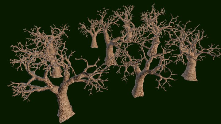Oak Tree Pack (low-poly) 3D Model