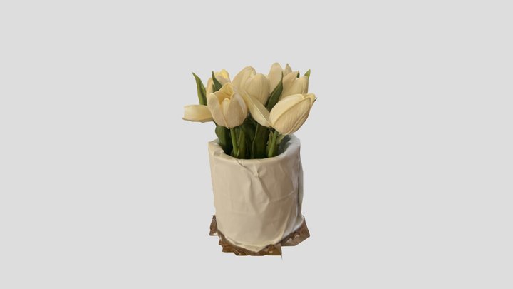 Vaso Di Tulipani