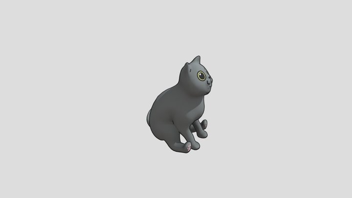 cat 3D Model