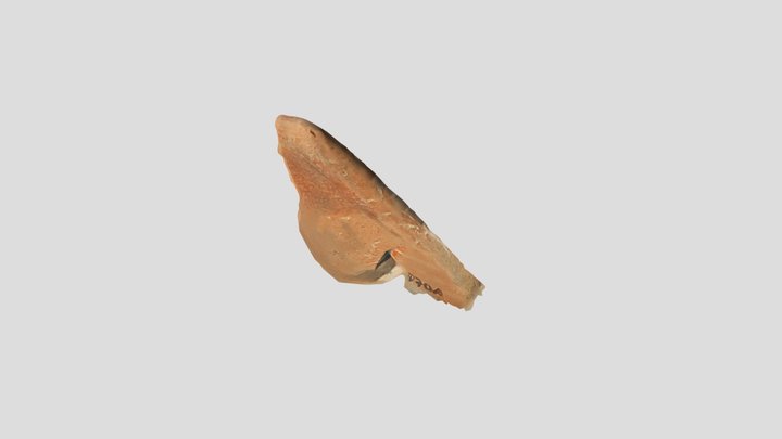 Maya Artifact 3D Model