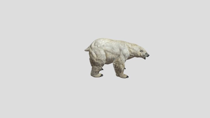 The-disappearing-polar-bear 3D Model