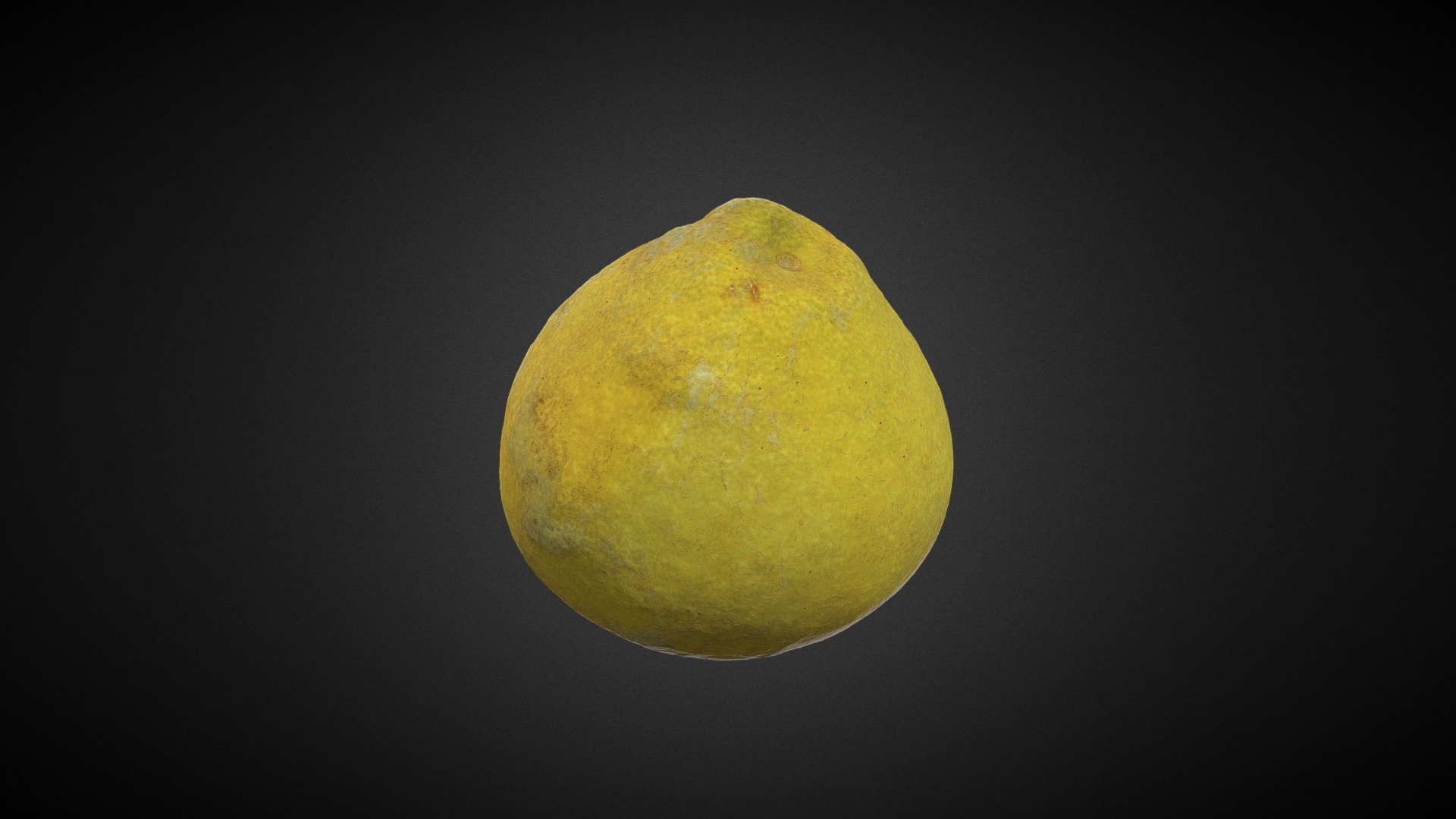 Paleo the Citrus maxima