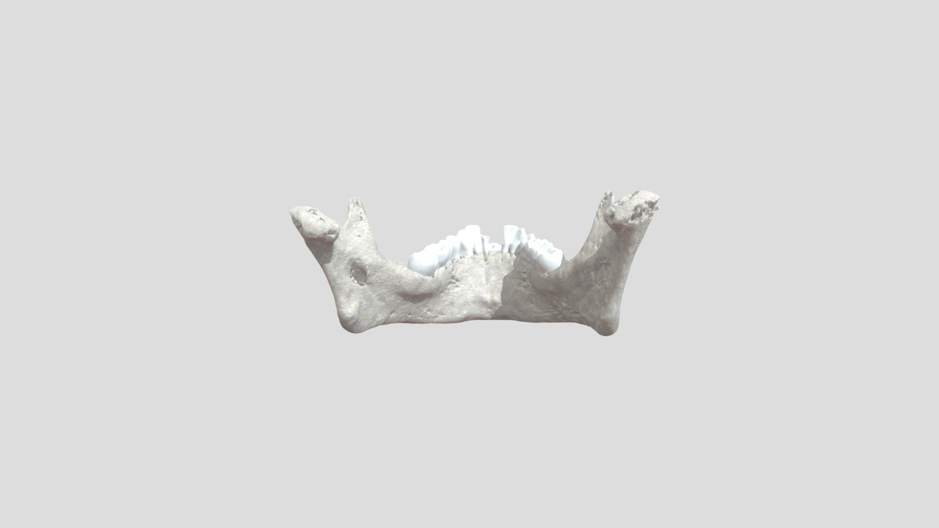 Mandible 1 - 3D model by OMFA3D [a7f8582] - Sketchfab