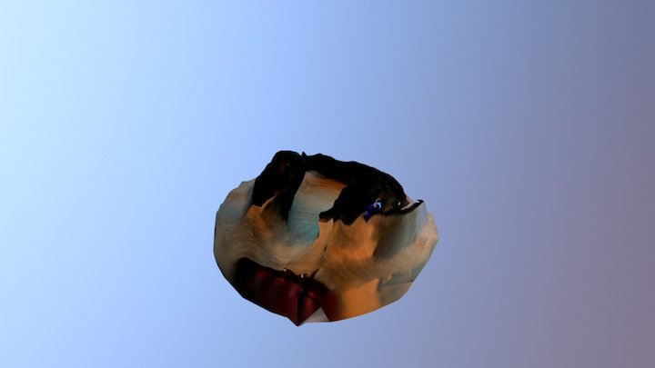 Sluchawki 3D Model
