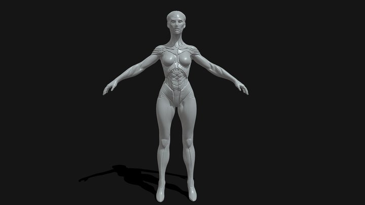 Android HighPoly Model Preview 3D Model