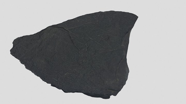 Sample 25 3D Model