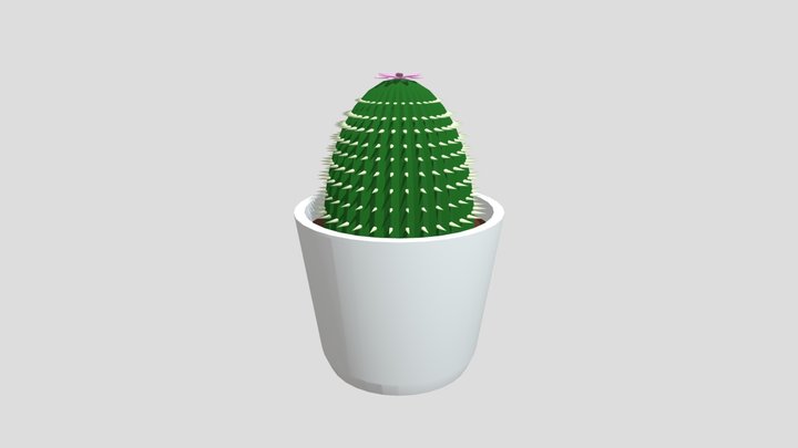 Cactus