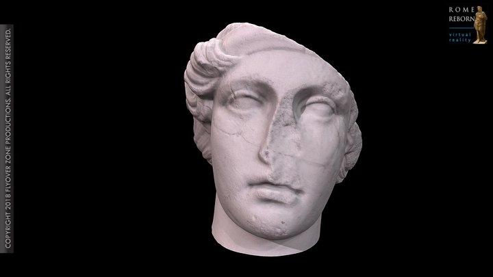 3D rendering of Peplophoros