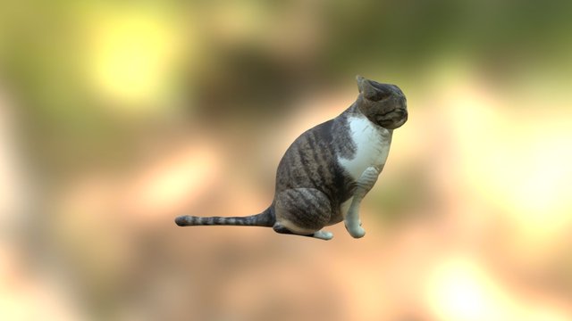 suwarineko 3D Model