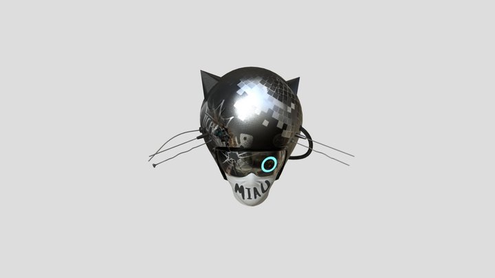 Cat's helmet 3D Model