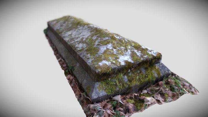 Moss covered tomb 3D Model