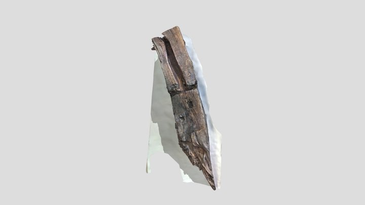 Timber 210123-poly 3D Model