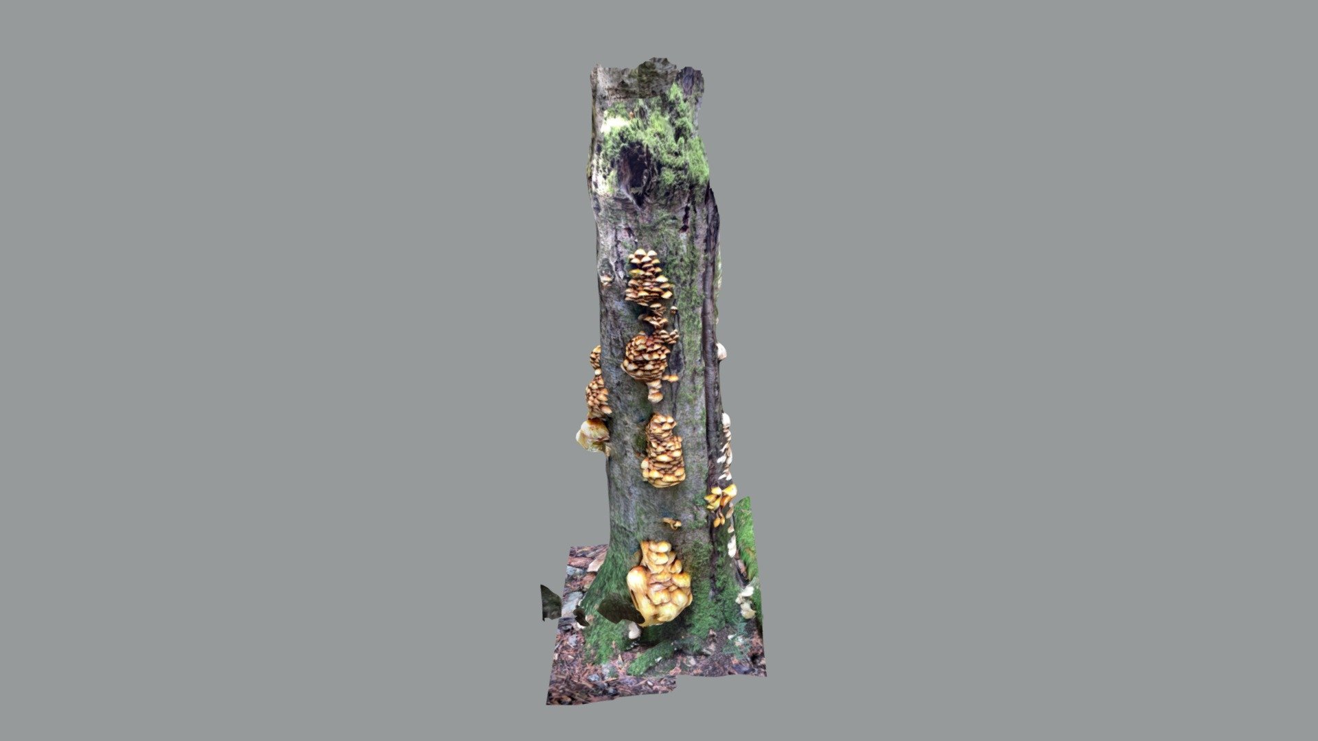 Things that grow on trees — Sketchfab embed 3D viewer