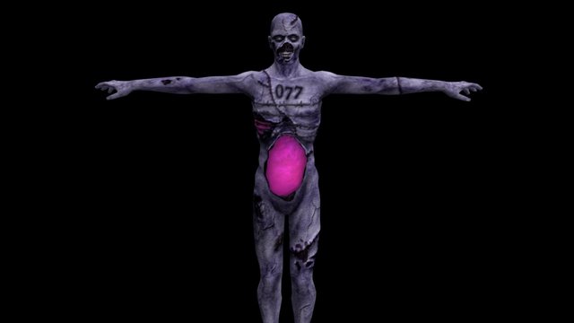Type_2 (Zombie) 3D Model
