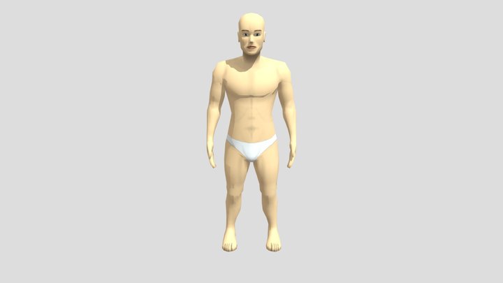 corpo 3D Model