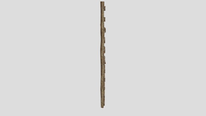Ladder 3D Model