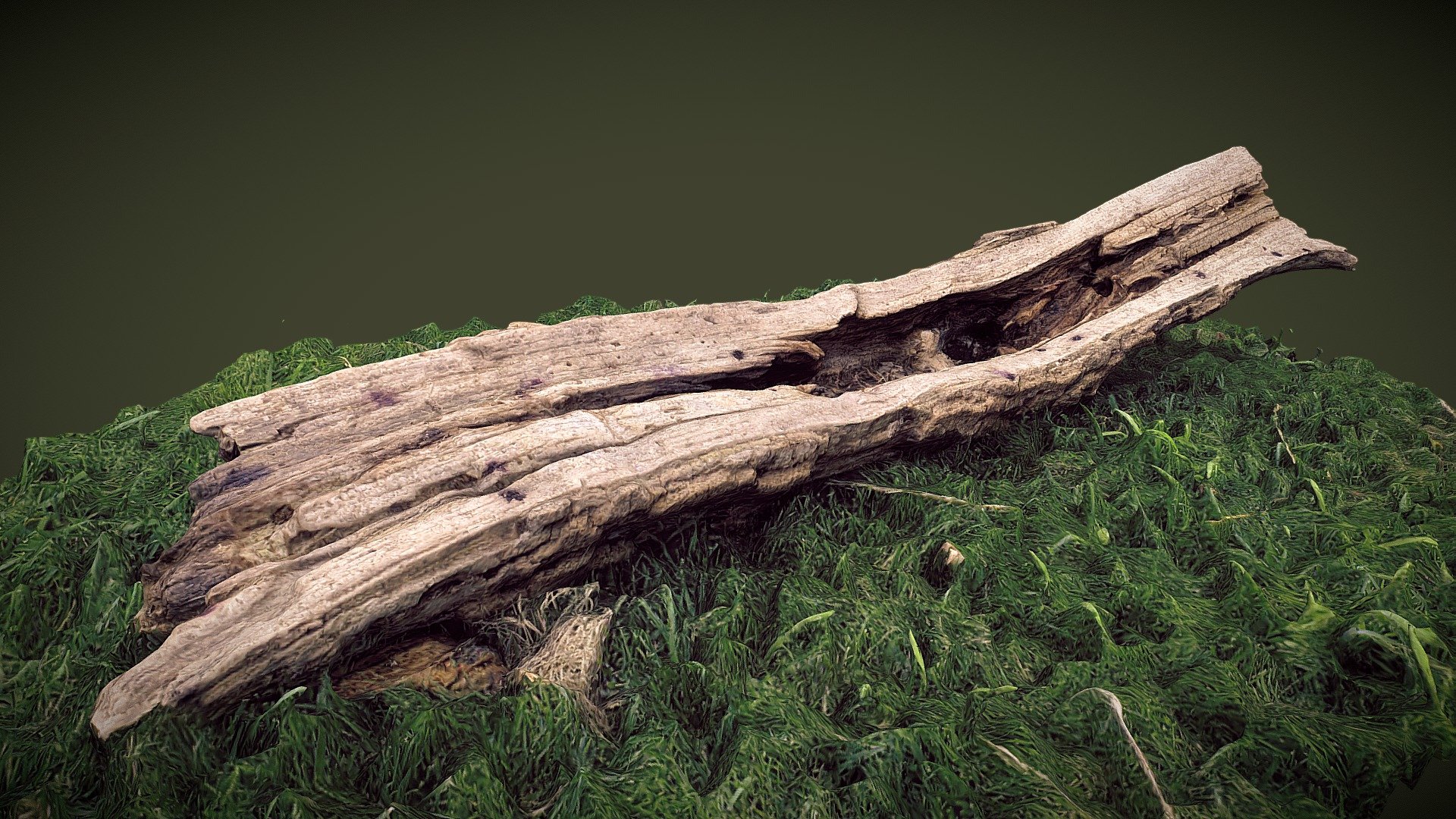 Small Log in Grass