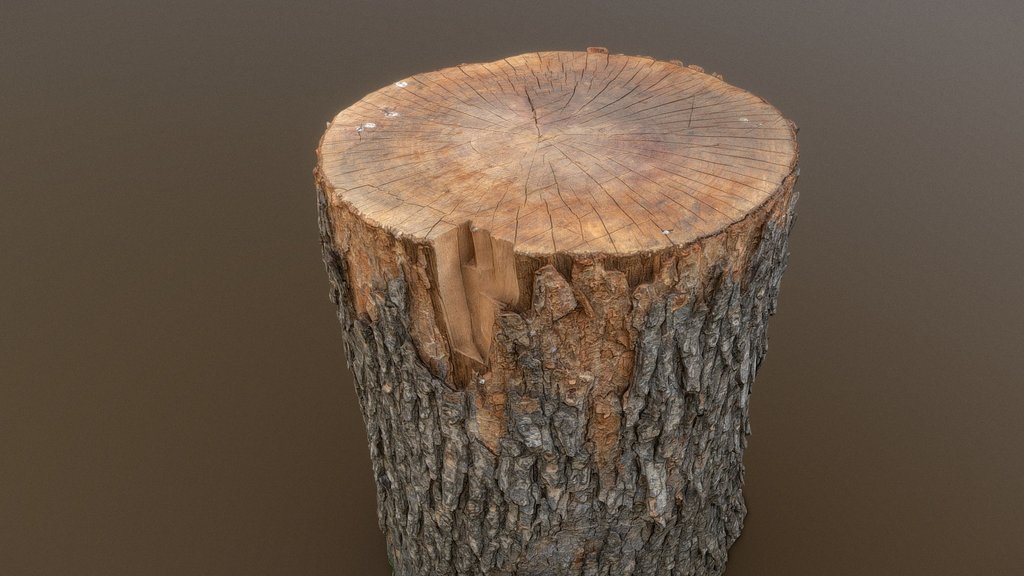 Wood chopping trunk base