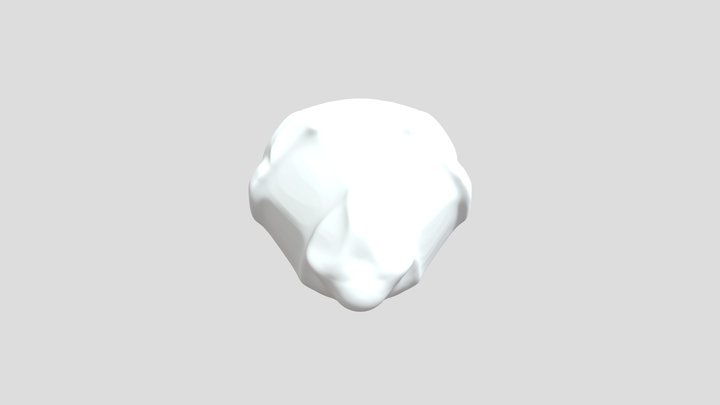 My model 3D Model
